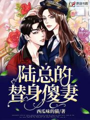 陆总的替身傻妻