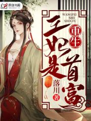 重生王妃是首富小说阅读