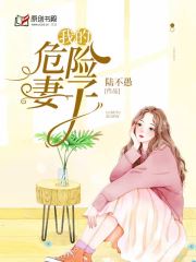 我的危险妻子
