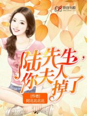 陆先生，你夫人掉了