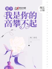秦少,我是你的高攀不起