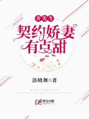 齐先生，契约娇妻有点甜