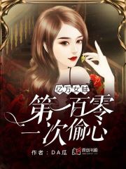 亿万女贼：第一百零一次偷心