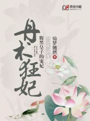 丹术狂妃：腹黑皇子的宠妃