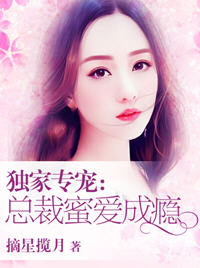 荣艾琳唐哲小说阅读