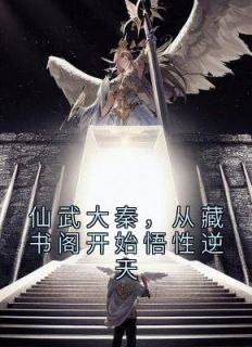 仙武大秦，从藏书阁开始悟性逆天小说阅读