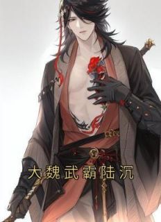 大魏武霸陆沉小说阅读