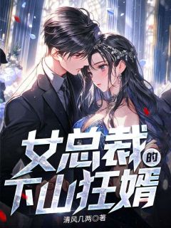 女总裁的下山狂婿小说阅读