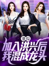 珠玑小说网 港综加入洪兴后我混成龙头