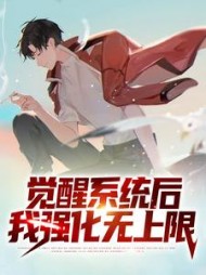 觉醒系统后我强化无上限