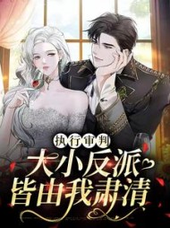 执行审判大小反派皆由我肃清