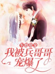 军婚甜宠我被兵哥哥宠爆了(胭回)