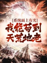 系统面上有光我能苟到天荒地老