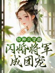主角是沈清茹的