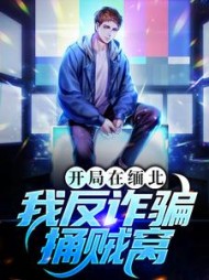 开局在缅北我反诈骗捅贼窝(薯片爱吃乐事)