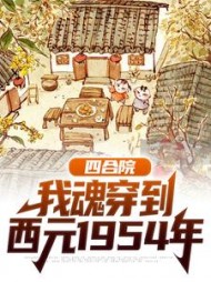 四合院我魂穿到西元1954年