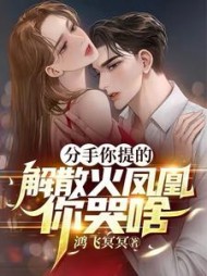 分手你提的解散火凤凰你哭啥