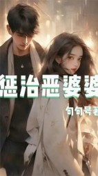 惩治恶婆婆李阳