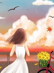 缝光白芷江肆野