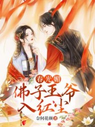 春光媚佛子王爷入红尘