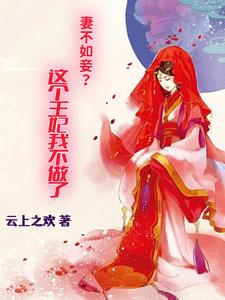 妻不如妾这个王妃我不做了