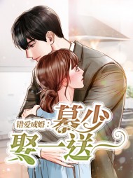 苏末兮慕少峰(萌宝)