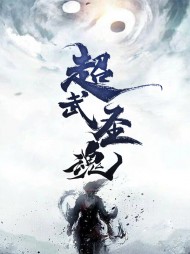 超武圣魂叶飞扬沐凌烟