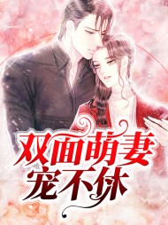 双面萌妻宠不休(宠文)