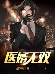 医婿无双秦换天宋婉月