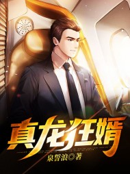 真龙狂婿沈毅唐瑶