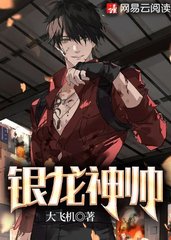 银龙神帅叶枫秦若曦