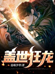 盖世狂龙张良沈亦菲
