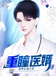 重瞳医婿陈立秦婉