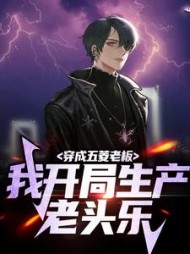穿成五菱老板我开局生产老头乐