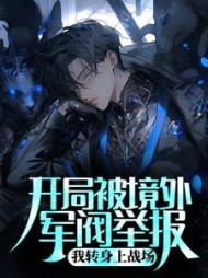 开局被境外军阀举报我转身上战场