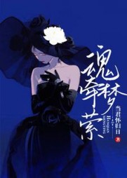 姜浅陆清时魂牵梦萦