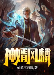 神婿风麟风麟安澜