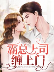 霸总上司缠上门柳梦纪燃