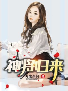 神将归来小说阅读