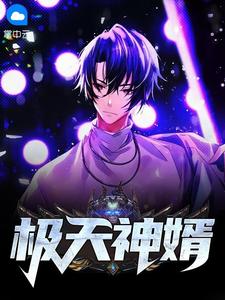 无聊小说网 极天神婿
