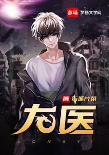 珠玑小说网 龙医