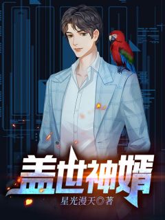 盖世神婿小说阅读