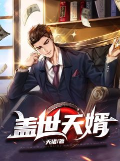 盖世天婿小说阅读