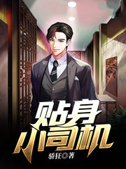 陈锋沈思雅贴身小司机