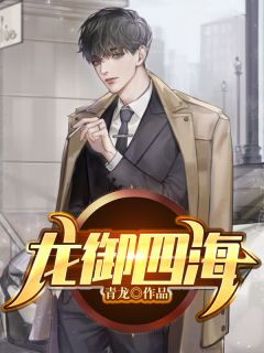 龙御四海小说阅读