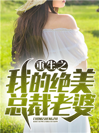 重生之我的绝美总裁老婆小说阅读