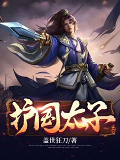 护国太子小说阅读