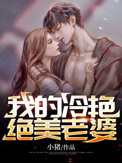 我的冷艳绝美老婆小说阅读