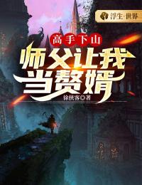 高手下山：师父让我当赘婿小说阅读
