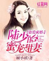 染爱成婚:陆少的蜜宠甜妻